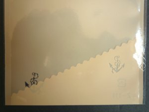 画像5: ガス袋 半折パック イカリ柄 100x120ｍｍ